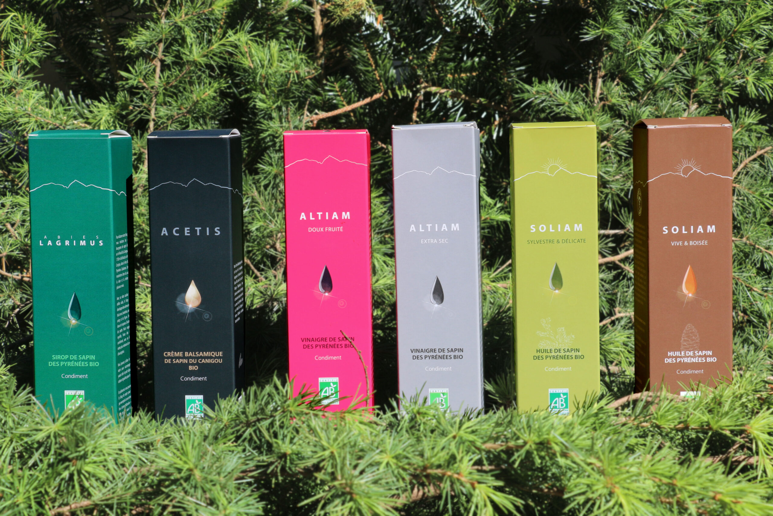 ABIES LAGRIMUS