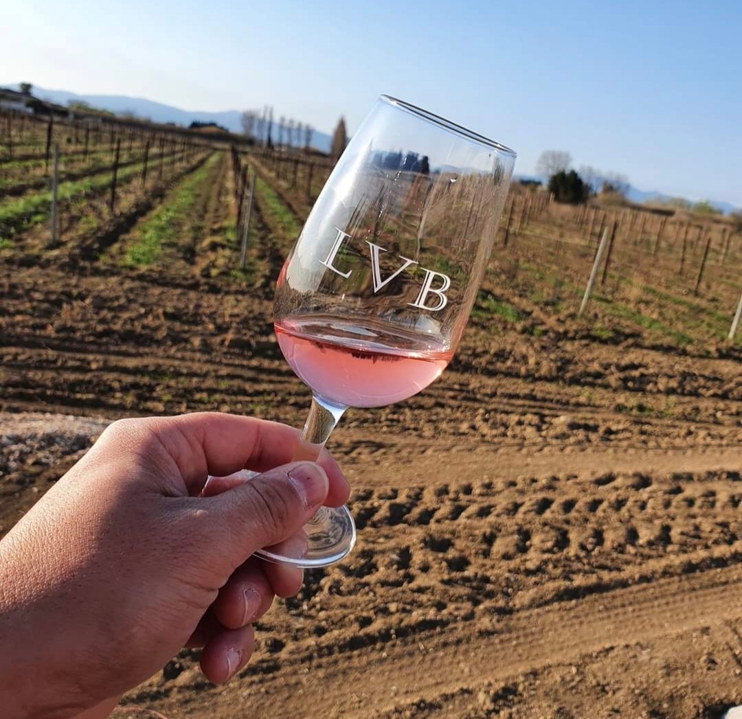 DOMAINE LA VIGNE BARBE