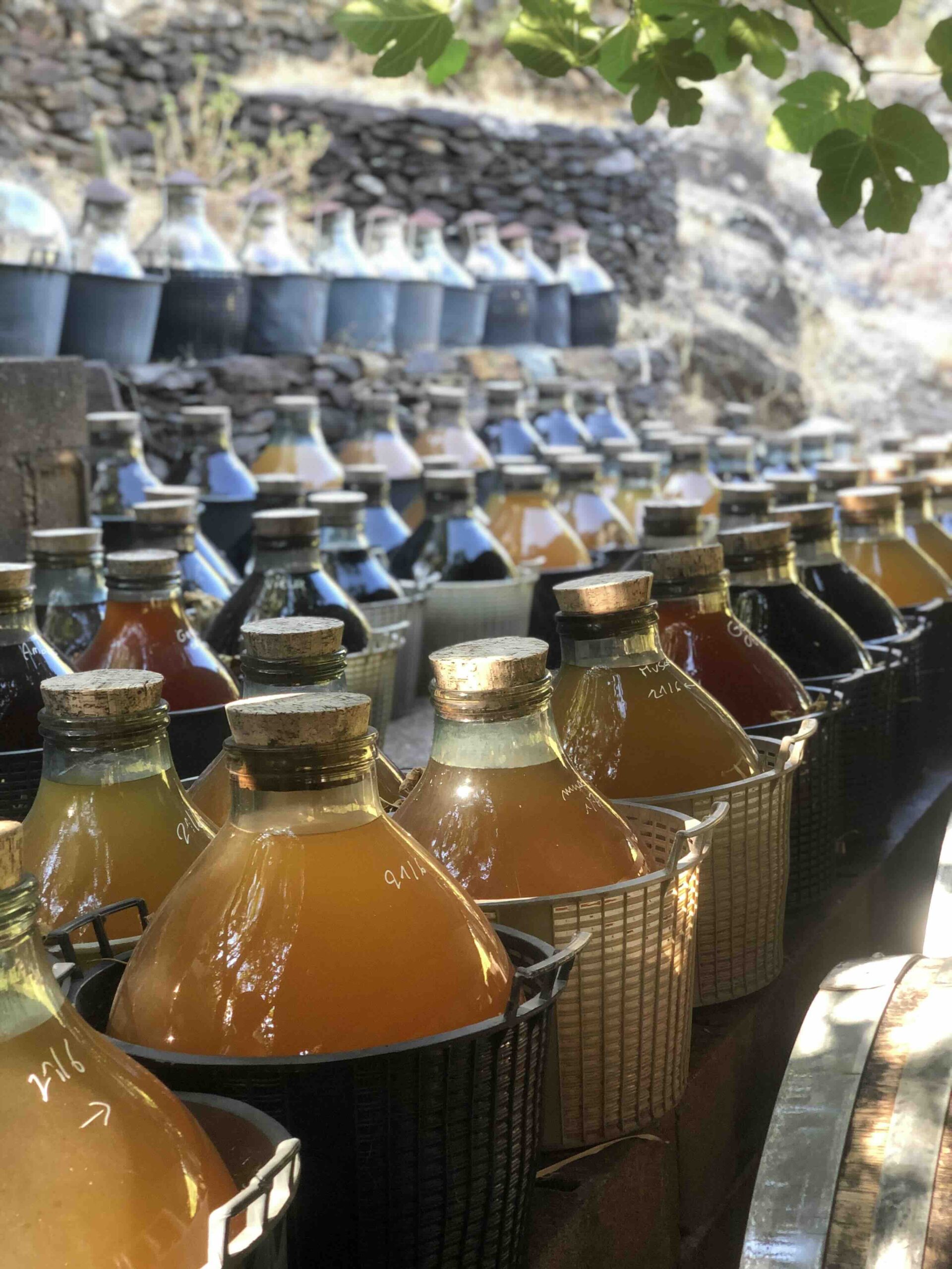 VINAIGRERIE LA GUINELLE